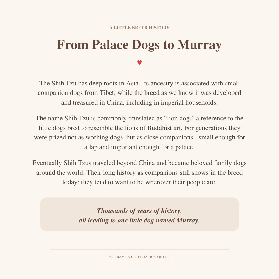 Murray Celebration of Life book sample page 5
