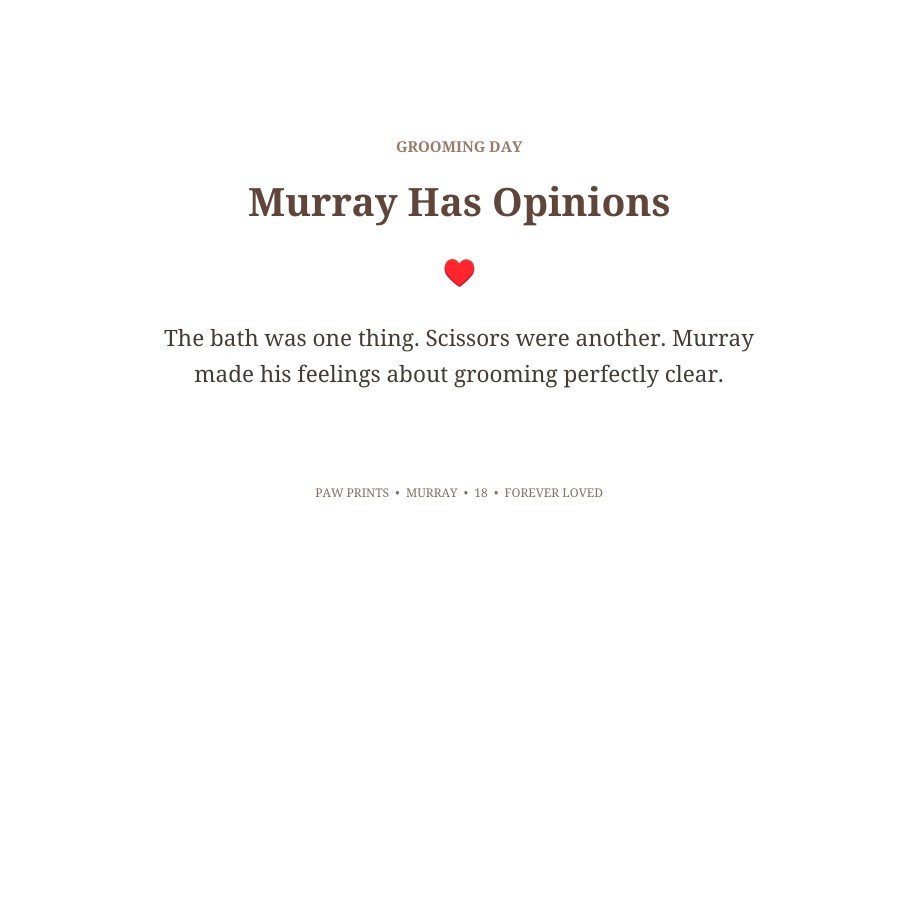Murray Celebration of Life book sample page 22