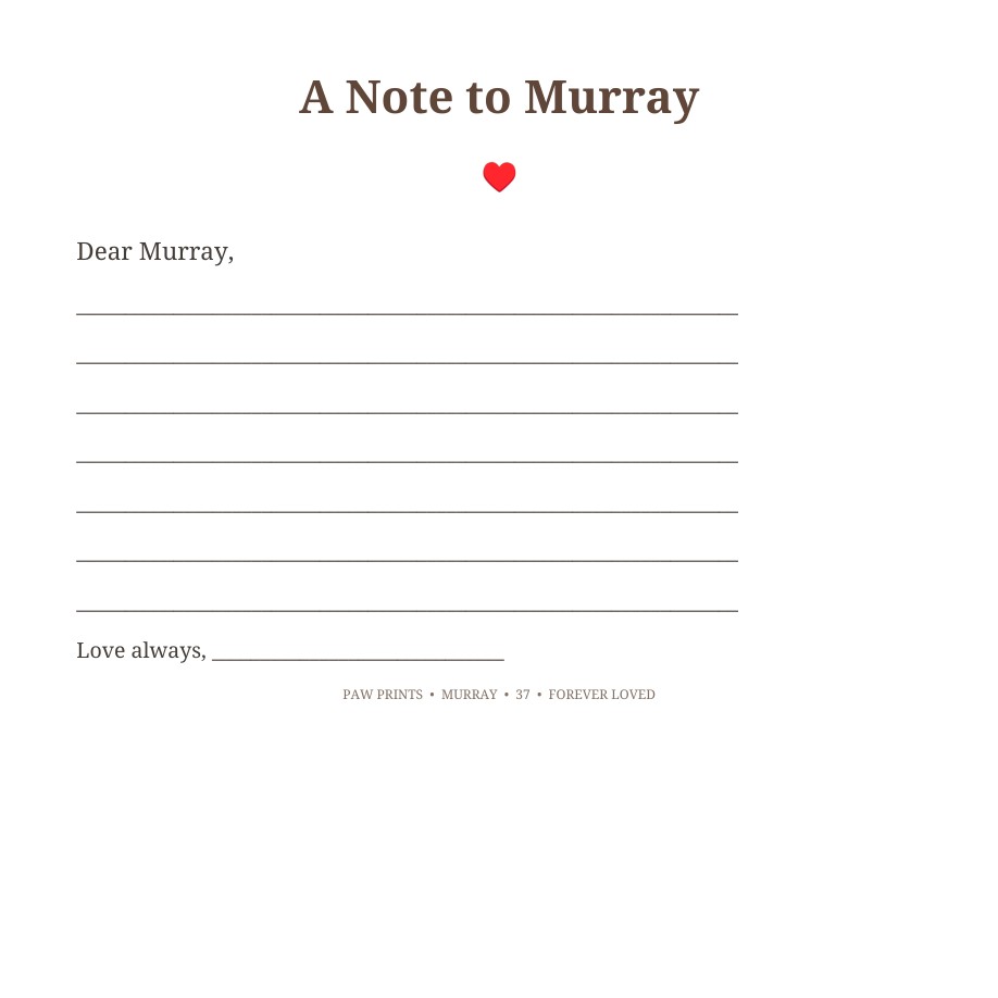 Murray Celebration of Life book sample page 41